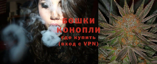 эйфоретик Покачи