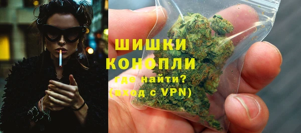эйфоретик Покачи