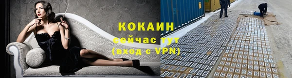 эйфоретик Покачи