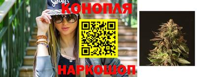 прущие грибы Комсомольск-на-Амуре