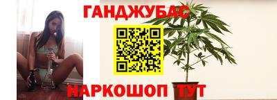 прущие грибы Комсомольск-на-Амуре