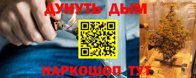прущие грибы Комсомольск-на-Амуре