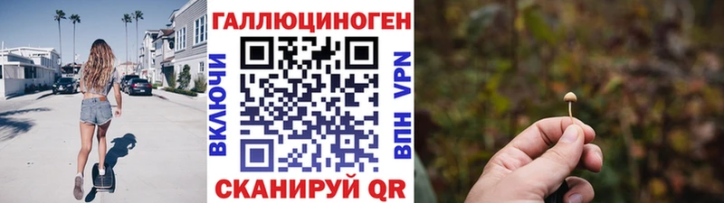 гидра зеркало  Арзамас  Галлюциногенные грибы MAGIC MUSHROOMS 