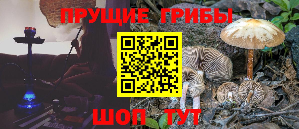 Галлюциногенные грибы Magic Shrooms Арзамас